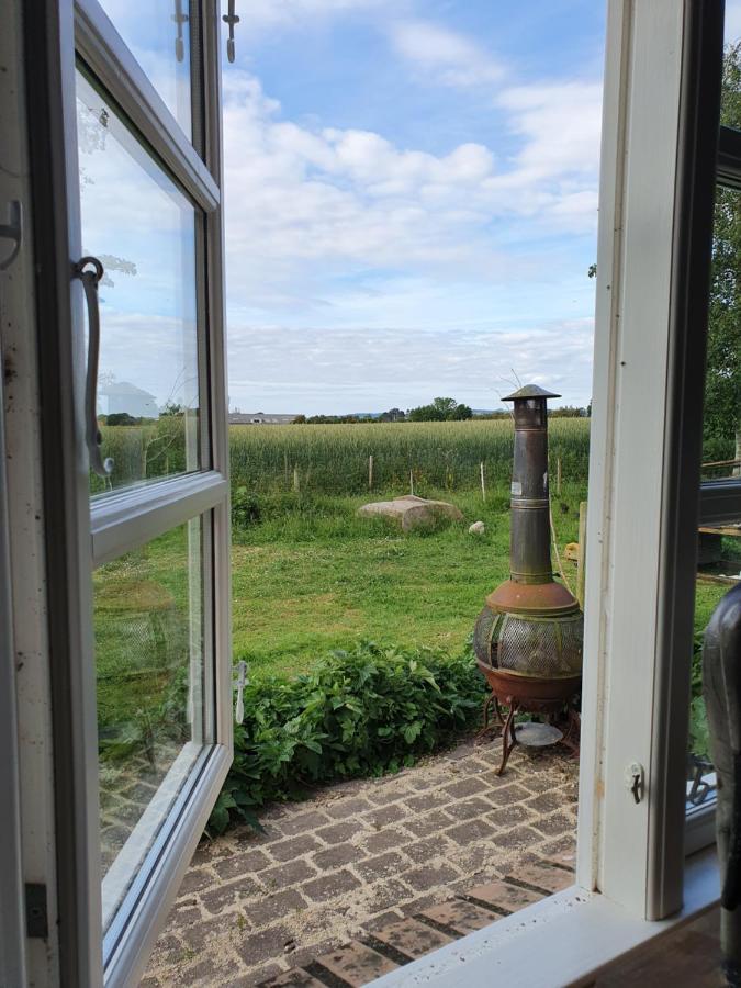 Havnsø Skortskaer Bondegardsferie Bed & Breakfast エクステリア 写真