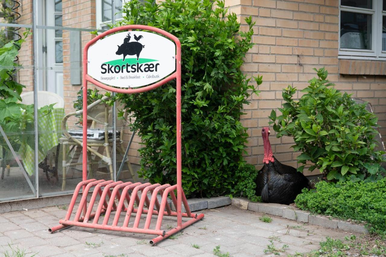 Havnsø Skortskaer Bondegardsferie Bed & Breakfast エクステリア 写真