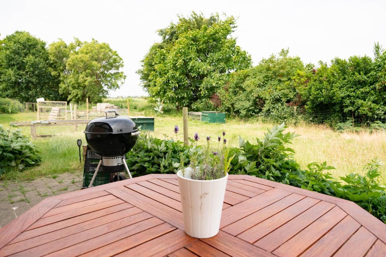 Havnsø Skortskaer Bondegardsferie Bed & Breakfast エクステリア 写真