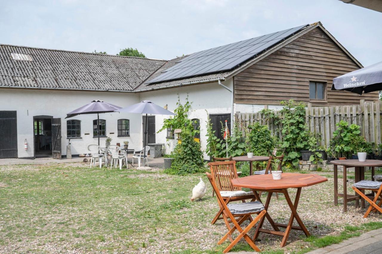 Havnsø Skortskaer Bondegardsferie Bed & Breakfast エクステリア 写真