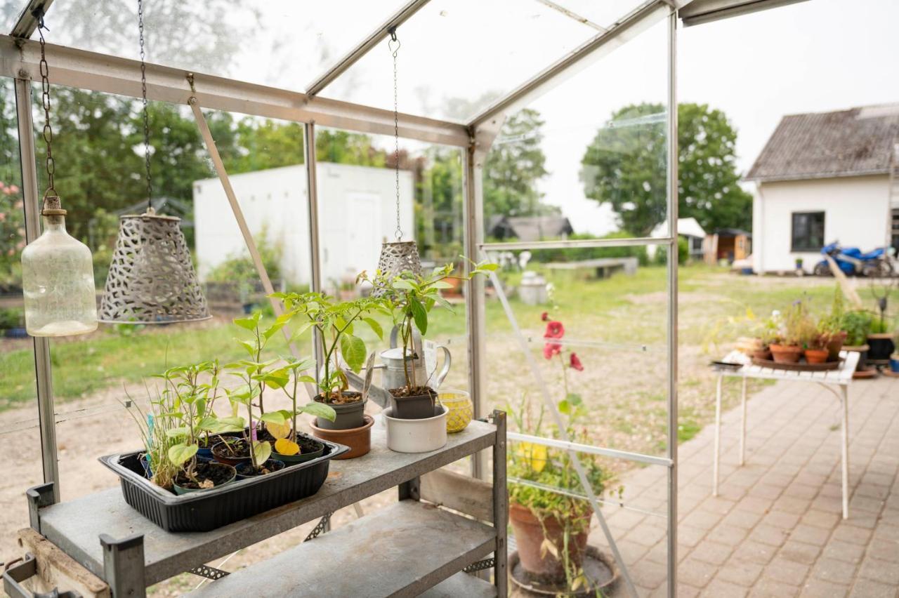 Havnsø Skortskaer Bondegardsferie Bed & Breakfast エクステリア 写真