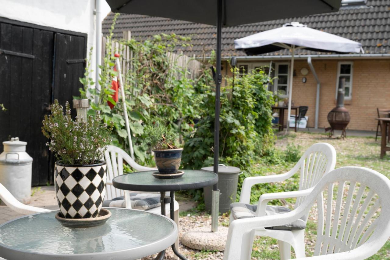 Havnsø Skortskaer Bondegardsferie Bed & Breakfast エクステリア 写真