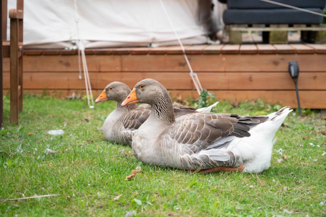 Havnsø Skortskaer Bondegardsferie Bed & Breakfast エクステリア 写真