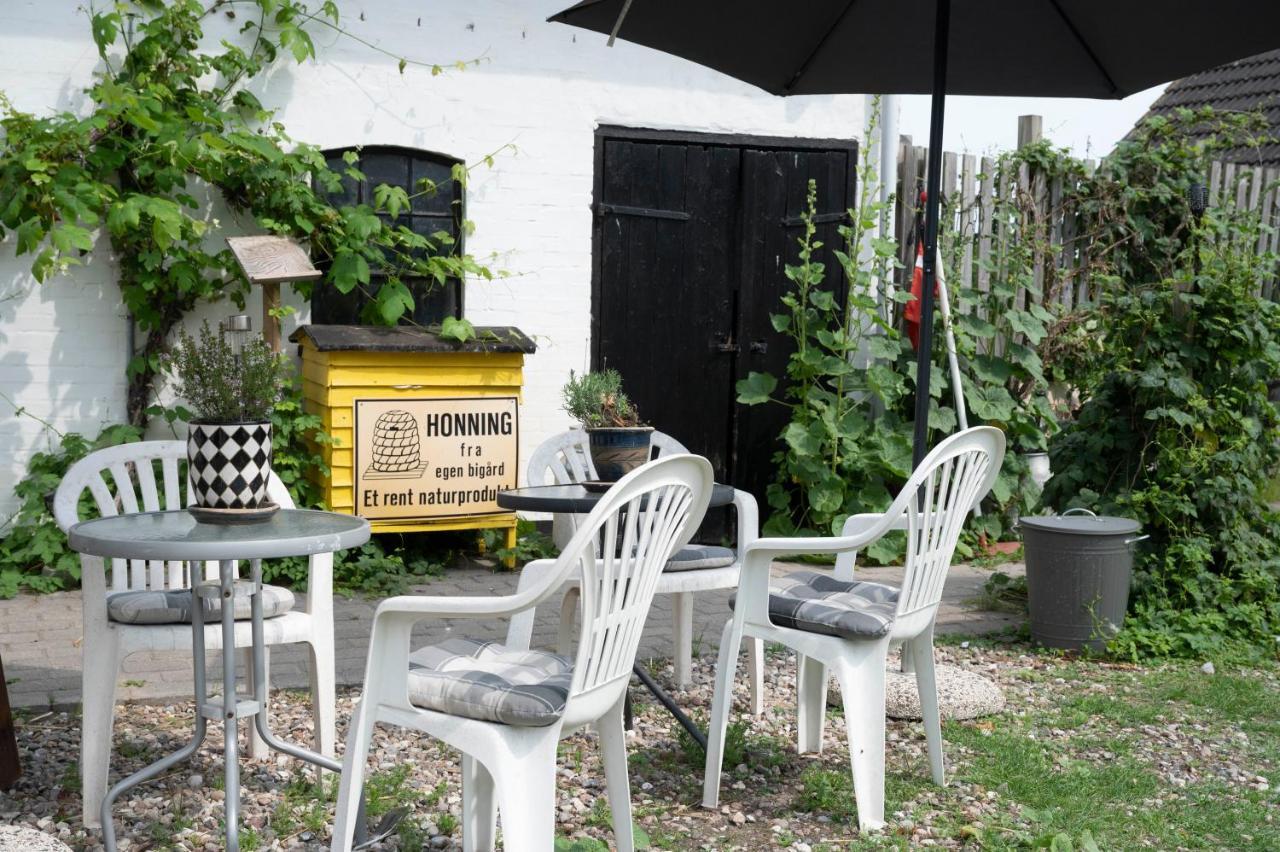 Havnsø Skortskaer Bondegardsferie Bed & Breakfast エクステリア 写真