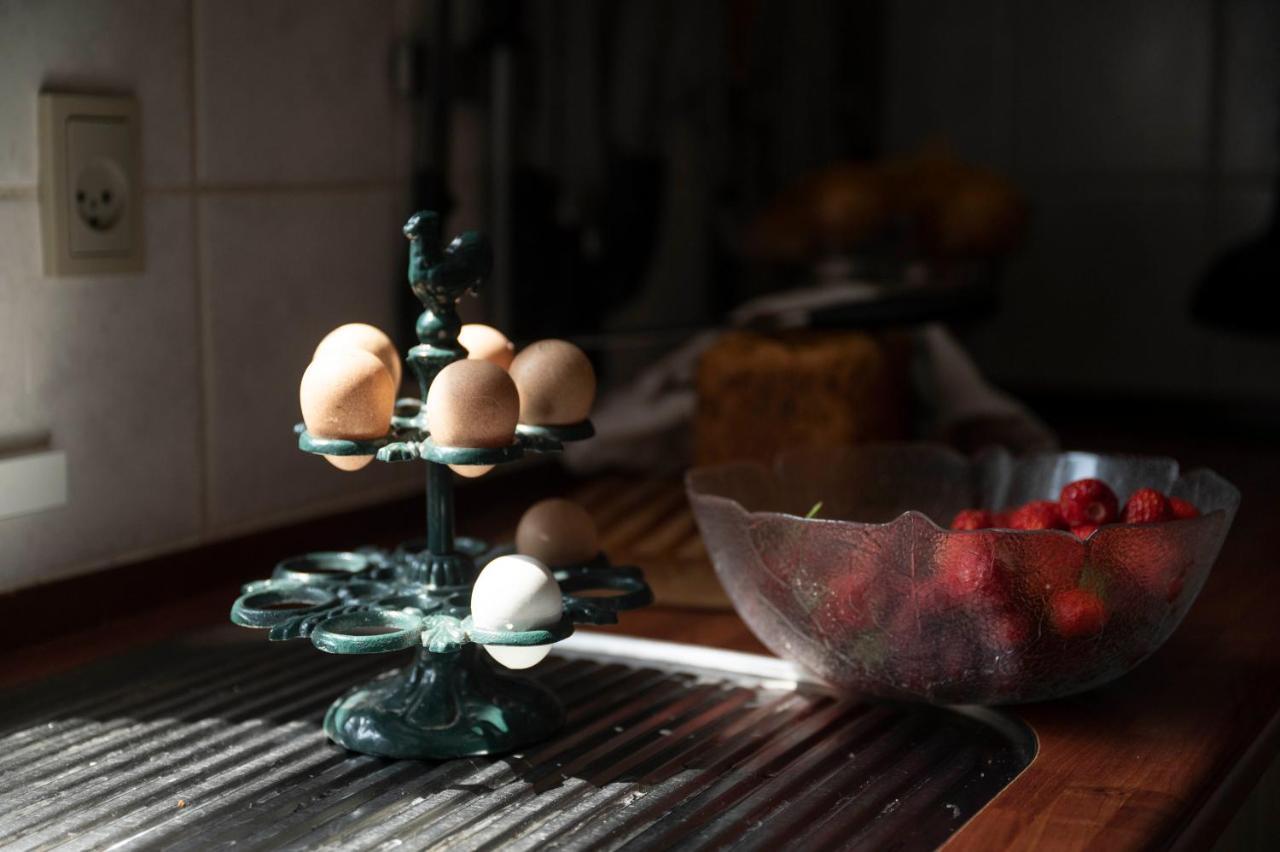 Havnsø Skortskaer Bondegardsferie Bed & Breakfast エクステリア 写真