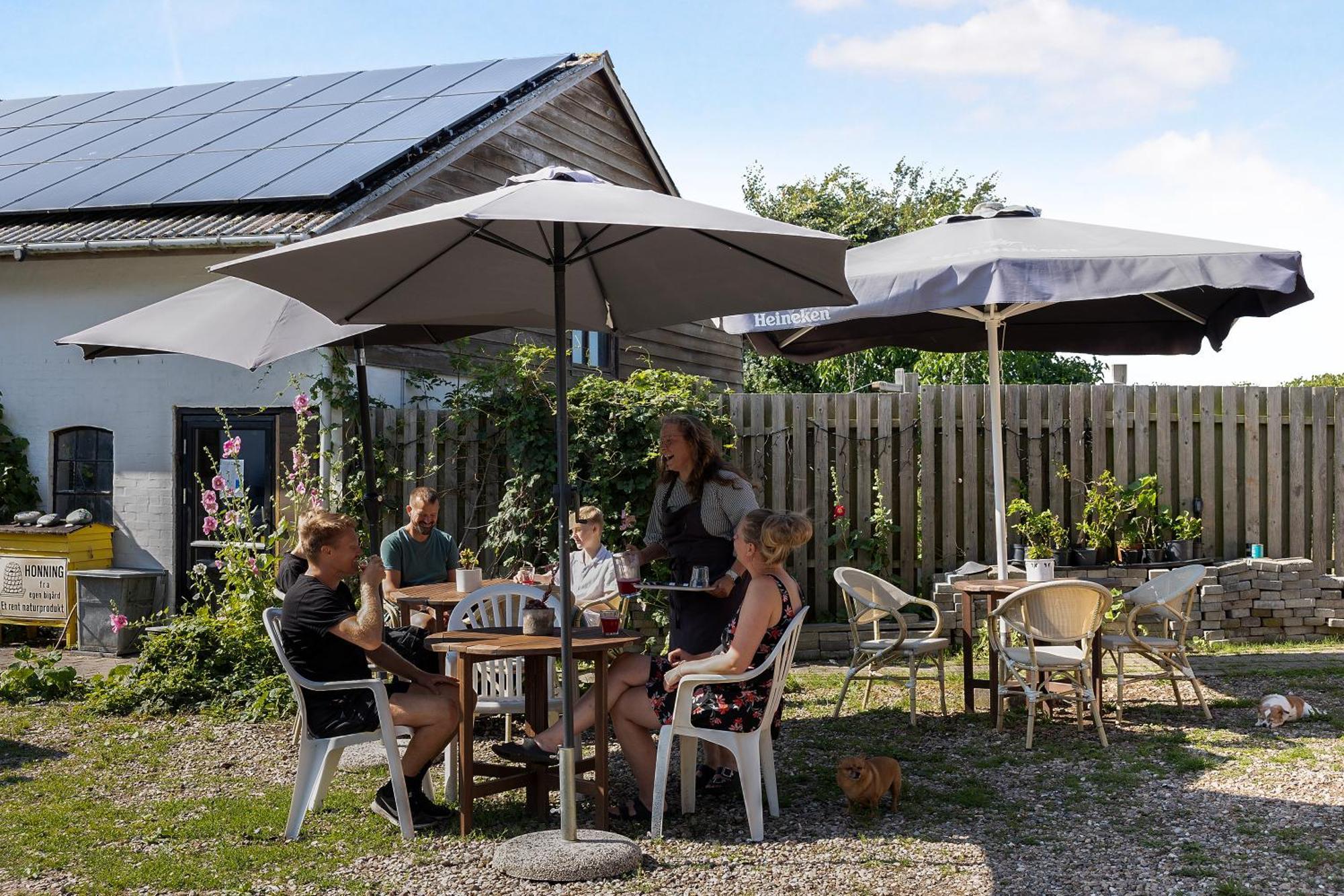 Havnsø Skortskaer Bondegardsferie Bed & Breakfast エクステリア 写真