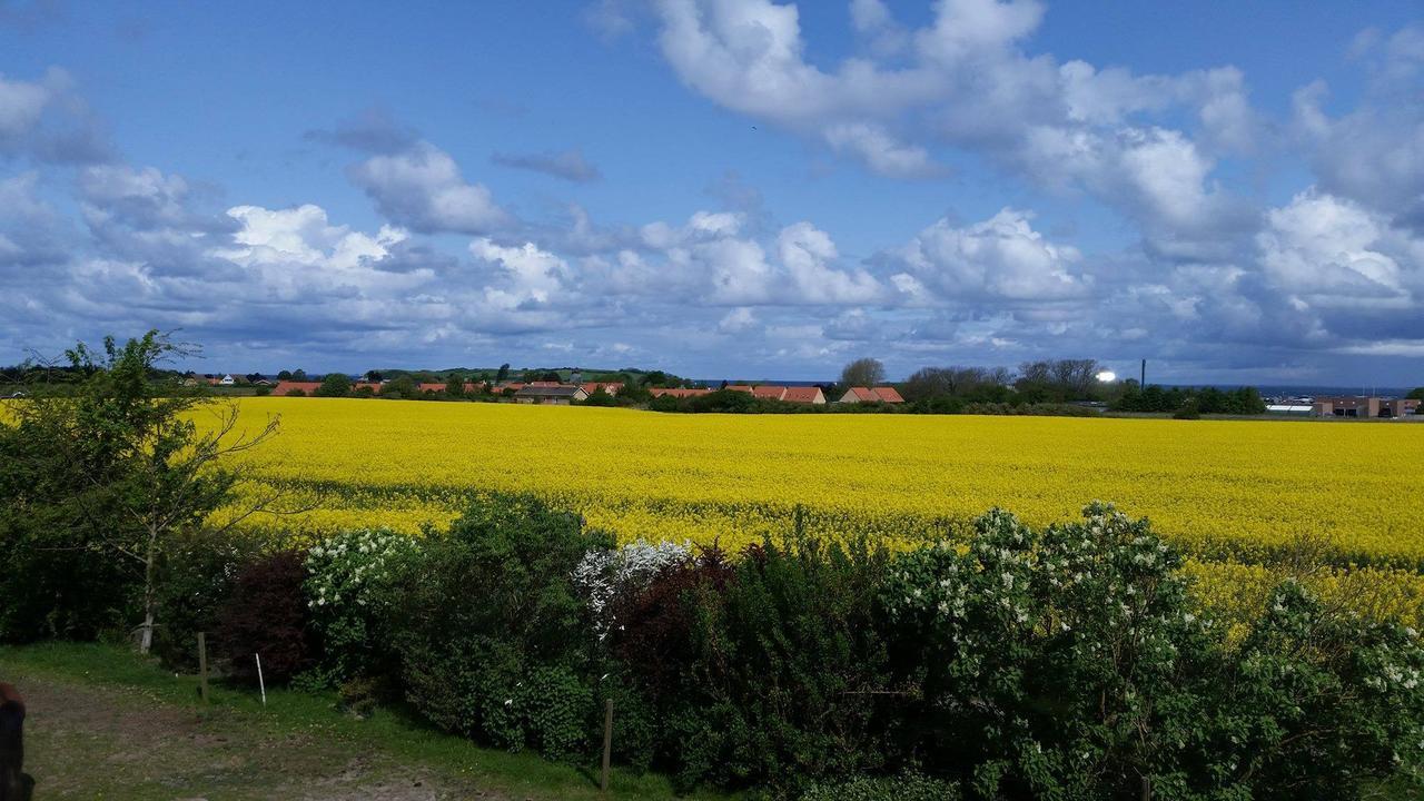 Havnsø Skortskaer Bondegardsferie Bed & Breakfast エクステリア 写真